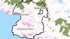 Kawasan hutan primer (hijau) dan kawasan tutupan hutan yang hilang (pink) - GNW