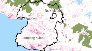 Kawasan hutan primer (hijau) dan kawasan tutupan hutan yang hilang (pink) - GNW