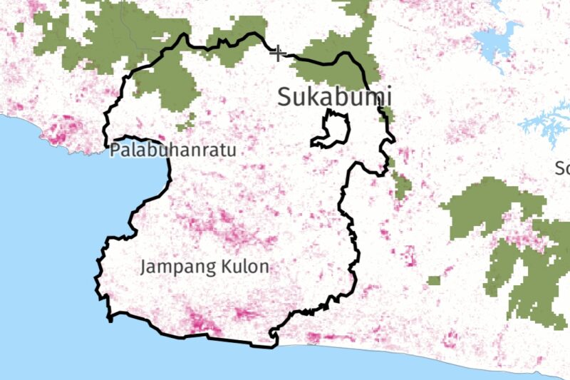 Kawasan hutan primer (hijau) dan kawasan tutupan hutan yang hilang (pink) - GNW