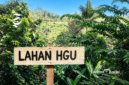 Lahan eks HGU PT Citimu di Kecamatan Bantargadung, Kabupaten Sukabumi - sukabumiheadline.com