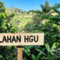 Lahan eks HGU PT Citimu di Kecamatan Bantargadung, Kabupaten Sukabumi - sukabumiheadline.com