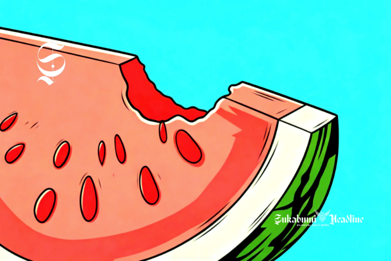 Ilustrasi sepotong buah semangka - sukabumiheadline.com