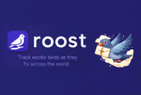 Roost dan Carrier Pidge - Ist