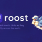 Roost dan Carrier Pidge - Ist