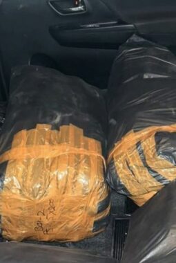 Selundupkan 32 ribu benih lobster ilegal, warga Sukabumi ditangkap di Banten