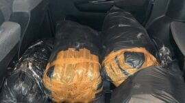Benih lobster ilegal milik MA, pria asal Sukabumi diamankan Satreskrim) Polres Lebak - Polres Lebak