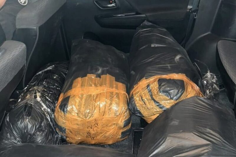 Benih lobster ilegal milik MA, pria asal Sukabumi diamankan Satreskrim) Polres Lebak - Polres Lebak