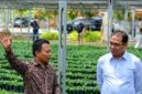 Di Parungkuda Sukabumi Wamentan Alim minta hilirisasi kopi dan kakao dikebut - Kementan RI