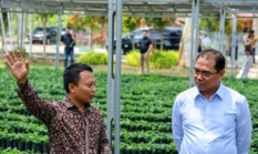 Di Sukabumi Wamentan Alim minta hilirisasi kopi dan kakao dikebut