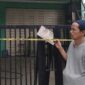 Saksi kematian dosen Petrus Pallangan di Sukabumi